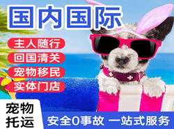 丹霞航空邮寄国际宠物托运 【国